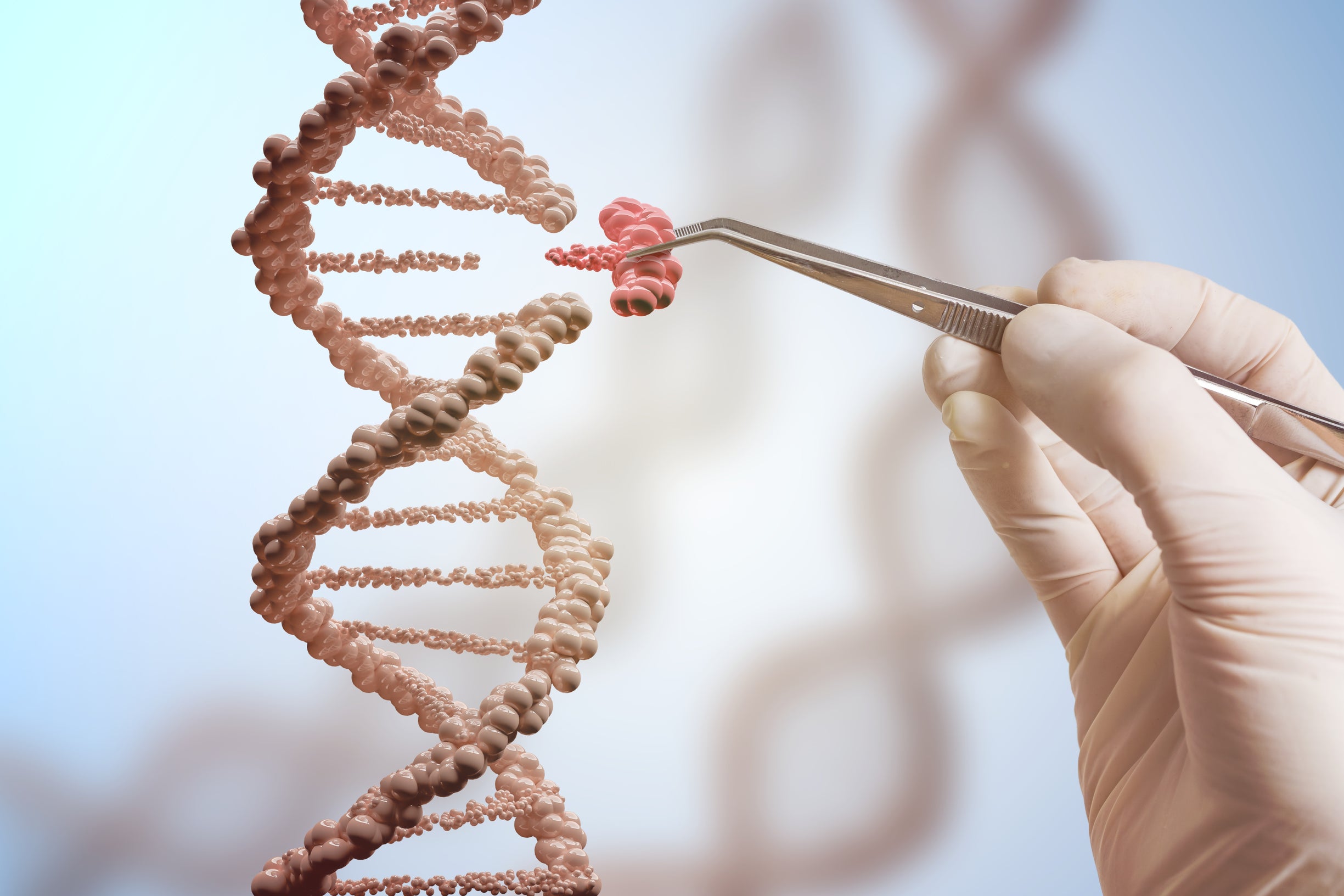 Crispr